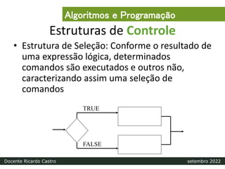 Estruturas de Controle
• Estrutura de Seleção: Conforme o resultado de
uma expressão lógica, determinados
comandos são executados e outros não,
caracterizando assim uma seleção de
comandos
TRUE
FALSE
Algoritmos e Programação
Docente Ricardo Castro setembro 2022
 