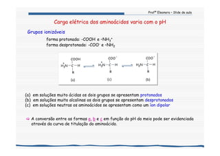 Profª Eleonora – Slide de aula
(a) em soluções muito ácidas os dois grupos se apresentam protonados
(b) em soluções muito alcalinas os dois grupos se apresentam desprotonados
(c) em soluções neutras os aminoácidos se apresentam como um íon dipolar
HCH3
+
N
R
COOH
HCH3
+
N
COO
-
R
HCH2N
COO
-
R
(a) (b)(c)
A conversão entre as formas a, b e c em função do pH do meio pode ser evidenciada
através da curva de titulação do aminoácido.
Carga elétrica dos aminoácidos varia com o pH
Grupos ionizáveis
forma protonada: -COOH e –NH3
+
forma desprotonada: -COO- e –NH2
 