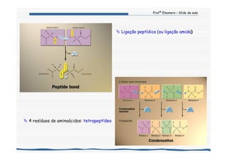 Profª Eleonora – Slide de aula
4 resíduos de aminoácidos: tetrapeptídeo
Ligação peptídica (ou ligação amida)
 
