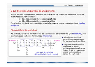 Profª Eleonora – Slide de aula
Nomenclatura de peptídeos
As cadeias peptídicas são nomeadas da extremidade amino terminal (ou N-terminal) para
a extremidade carboxila terminal (ou C-terminal).
O que diferencia um peptídeo de uma proteína?
Muitos autores se baseiam na dimensão da estrutura, em termos do número de resíduos
de aminoácidos. Por exemplo:
n < 80 a 100 aminoácidos ⇒ cadeia peptídica
n > 80 a 100 aminoácidos ⇒ cadeia protéica
Entretanto a distinção entre peptídeo e proteína deve se basear nas respectivas funções
biológicas.
• Não há possibilidade de
ionização do grupamento que
faz parte da ligação peptídica
• Os grupos amina e carboxila
terminais e os grupos
ionizáveis das cadeias laterais
(grupos R) são os responsáveis
pelas propriedades ácido-
básicas dos peptídeos.
C-terminalN-terminal
CH2
||||||
COO
-
H
N
O
||
C
OOO
H
NCC N
HH
NC
CH2
CH2
COO
-
CH2
CH2
CH2
NH3
C C C CC
HHH HH
H CH2
OH
H-C OH
CH3
+
NH3
+
(Glutamil lisil glicil seril treonina)
GLU GLI-SER-THR-L S-Y
 