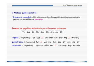 Profª Eleonora – Slide de aula
Exemplo de peptídeo hidrolisado por diferentes proteases
Tyr - Lys - Glu - Met - Leu - Gly - Arg - Ala - Gly
Tripsina (3 fragmentos) Tyr – Lys // Glu - Met - Leu - Gly – Arg // Ala – Gly
Quimotripsina (2 fragmentos) Tyr // Lys - Glu - Met - Leu - Gly - Arg - Ala – Gly
Termolisina (2 fragmentos) Tyr - Lys - Glu – Met // Leu - Gly - Arg - Ala - Gly
Método químico seletivo
• Brometo de cianogênio - hidrolisa apenas ligações peptídicas cujo grupo carboxila
pertence a um resíduo de metionina.
 