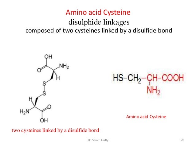 2 amino acids and proteins lecture 2