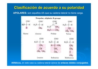 ClasificaciClasificacióón de acuerdo a su polaridadn de acuerdo a su polaridad
APOLARES: son aquellos AA que su cadena lateral no tiene carga.
Alifáticos, en este caso su cadena lateral carece de enlaces dobles conjugados.
 