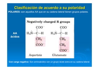 ClasificaciClasificacióón de acuerdo a su polaridadn de acuerdo a su polaridad
POLARES: son aquellos AA que en su cadena lateral tienen grupos polares.
Con carga negativa: Son aminoácidos con un grupo ácido extra en su cadena lateral.
AA
ácidos
 