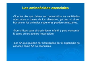 Los aminoLos aminoáácidos esencialescidos esenciales
-Son los AA que deben ser consumidos en cantidades
adecuadas a través de los alimentos, ya que ni el ser
humano ni los animales superiores pueden sintetizarlos.
-Son críticos para el crecimiento infantil y para conservar
la salud en los adultos (reparación).
-Los AA que pueden ser sintetizados por el organismo se
conocen como AA no esenciales.
 