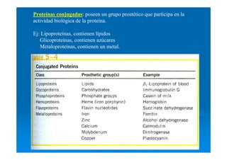 Proteínas conjugadas: poseen un grupo prostético que participa en la
actividad biológica de la proteína.
Ej: Lipoproteínas, contienen lípidos
Glicoproteínas, contienen azúcares
Metaloproteínas, contienen un metal.
 