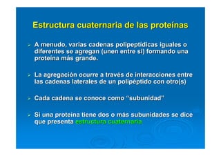 Estructura cuaternaria de las proteEstructura cuaternaria de las proteíínasnas
A menudo, varias cadenas polipeptA menudo, varias cadenas polipeptíídicas iguales odicas iguales o
diferentes se agregan (unen entre si) formando unadiferentes se agregan (unen entre si) formando una
proteproteíína mna máás grande.s grande.
La agregaciLa agregacióón ocurre a travn ocurre a travéés de interacciones entres de interacciones entre
las cadenas laterales de un poliplas cadenas laterales de un polipééptido conptido con otro(sotro(s))
Cada cadena se conoce comoCada cadena se conoce como ““subunidadsubunidad””
Si una proteSi una proteíína tiene dos o mna tiene dos o máás subunidades se dices subunidades se dice
que presentaque presenta estructura cuaternariaestructura cuaternaria
 