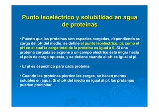 Punto isoelPunto isoelééctrico y solubilidad en aguactrico y solubilidad en agua
de protede proteíínasnas
• Puesto que las proteínas son especies cargadas, dependiendo su
carga del pH del medio, se define el punto isoeléctrico, pI, como el
pH en el cual la carga total de la proteína es igual a 0. Si una
proteína cargada se expone a un campo eléctrico ésta migra hacia
el polo de carga opuesta, y se detiene cuando el pH es igual al pI.
• El pI es específico para cada proteína
• Cuando las proteínas pierden las cargas, se hacen menos
solubles en agua. Si el pH del medio es igual al pI, las proteínas
pueden precipitar.
 