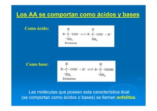 Los AA se comportan como ácidos y bases
Como ácido:
Como base:
Las moléculas que poseen esta característica dual
(se comportan como ácidos o bases) se llaman anfolitos.
 