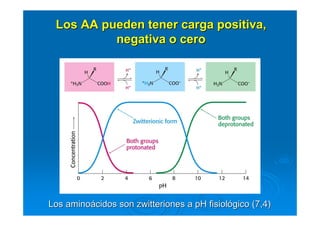 Los AA pueden tener carga positiva,Los AA pueden tener carga positiva,
negativa o ceronegativa o cero
Los aminoLos aminoáácidos soncidos son zwitterioneszwitteriones a pH fisiola pH fisiolóógico (7,4)gico (7,4)
 
