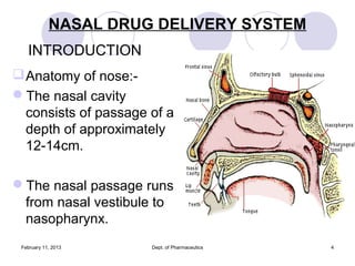 NASAL DRUG DELIVERY SYSTEM
   INTRODUCTION
 Anatomy of nose:-
The nasal cavity
  consists of passage of a
  depth of app...