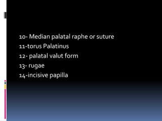 2-Anatomical land mark.pptx