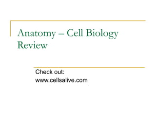 Anatomy – Cell Biology Review Check out: www.cellsalive.com 