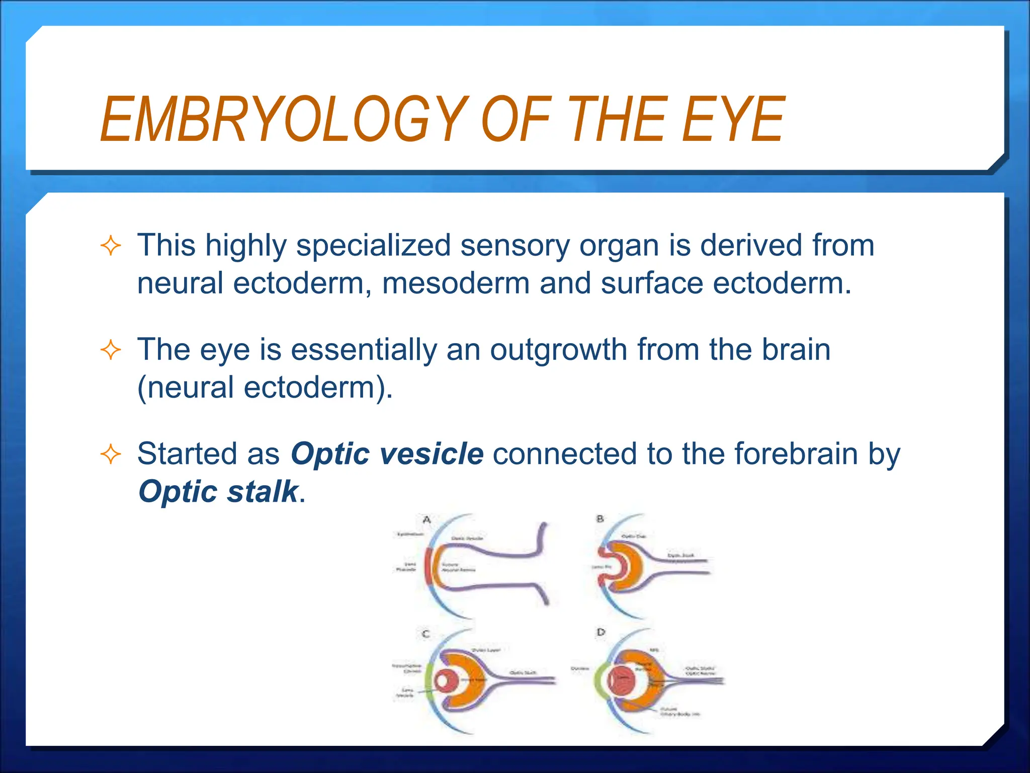 2- anatomy and physiology of the eye (Dr. essam.ppt