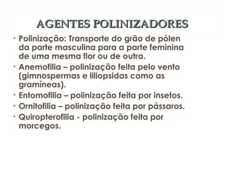 AAGGEENNTTEESS PPOOLLIINNIIZZAADDOORREESS 
• Polinização: Transporte do grão de pólen 
da parte masculina para a parte feminina 
de uma mesma flor ou de outra. 
• Anemofilia – polinização feita pelo vento 
(gimnospermas e liliopsidas como as 
gramíneas). 
• Entomofilia – polinização feita por insetos. 
• Ornitofilia – polinização feita por pássaros. 
• Quiropterofilia - polinização feita por 
morcegos. 
 