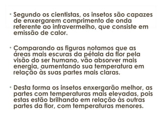 • Segundo os cientistas, os insetos são capazes 
de enxergarem comprimento de onda 
referente ao infravermelho, que consiste em 
emissão de calor. 
• Comparando as figuras notamos que as 
áreas mais escuras da pétala da flor pela 
visão do ser humano, vão absorver mais 
energia, aumentando sua temperatura em 
relação às suas partes mais claras. 
• Desta forma os insetos enxergarão melhor, as 
partes com temperaturas mais elevadas, pois 
estas estão brilhando em relação às outras 
partes da flor, com temperaturas menores. 
 