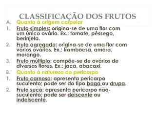 CLASSIFICAÇÃO DOS FRUTOS 
A. Quanto à origem carpelar 
1. Fruto simples: origina-se de uma flor com 
um único ovário. Ex.: tomate, pêssego, 
berinjela. 
2. Fruto agregado: origina-se de uma flor com 
vários ovários. Ex.: framboesa, amora, 
morango. 
3. Fruto múltiplo: compõe-se de ovários de 
diversas flores. Ex.: jaca, abacaxi. 
B. Quanto à natureza do pericarpo 
1. Fruto carnoso: apresenta pericarpo 
suculento; pode ser do tipo baga ou drupa. 
2. Fruto seco: apresenta pericarpo não-suculento; 
pode ser deiscente ou 
indeiscente. 
 