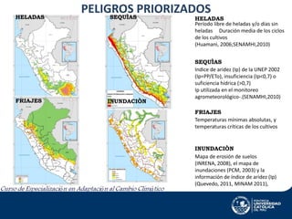 HELADAS

FRIAJES

PELIGROS PRIORIZADOS
SEQUÌAS

HELADAS
Período libre de heladas y/o días sin
heladas Duración media de los ciclos
de los cultivos
(Huamanì, 2006;SENAMHI,2010)

INUNDACIÒN

SEQUÌAS
Indice de aridez (Ip) de la UNEP 2002
(Ip=PP/ETo), insuficiencia (Ip<0,7) o
suficiencia hídrica (>0,7)
Ip utilizada en el monitoreo
agrometeorológico-.(SENAMHI,2010)
FRIAJES
Temperaturas mínimas absolutas, y
temperaturas críticas de los cultivos

INUNDACIÒN
Mapa de erosión de suelos
(INRENA, 2008), el mapa de
inundaciones (PCM, 2003) y la
información de índice de aridez (Ip)
(Quevedo, 2011, MINAM 2011),

 