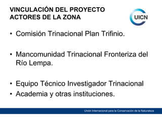 VINCULACIÓN DEL PROYECTO
ACTORES DE LA ZONA

• Comisión Trinacional Plan Trifinio.
• Mancomunidad Trinacional Fronteriza del
Río Lempa.
• Equipo Técnico Investigador Trinacional
• Academia y otras instituciones.
Unión Internacional para la Conservación de la Naturaleza

 