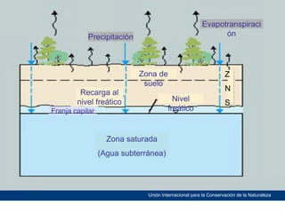 Evapotranspiraci
ón

Precipitación

Recarga al
nivel freático

Zona de
suelo
Nivel
freático

Franja capilar

Z
N
S

Zona saturada
(Agua subterránea)

Unión Internacional para la Conservación de la Naturaleza

 