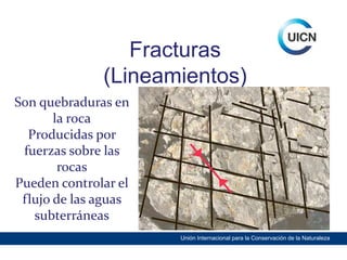 Fracturas
(Lineamientos)
Son quebraduras en
la roca
Producidas por
fuerzas sobre las
rocas
Pueden controlar el
flujo de las aguas
subterráneas
Unión Internacional para la Conservación de la Naturaleza

 
