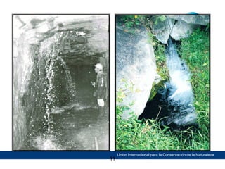 11

Unión Internacional para la Conservación de la Naturaleza

 