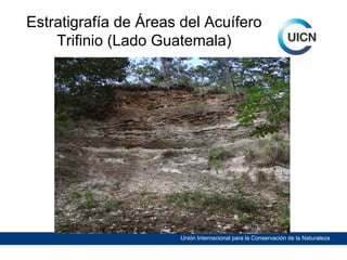 Estratigrafía de Áreas del Acuífero
Trifinio (Lado Guatemala)

Unión Internacional para la Conservación de la Naturaleza

 