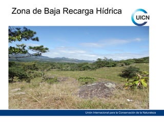 Zona de Baja Recarga Hídrica

Unión Internacional para la Conservación de la Naturaleza

 
