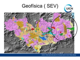 Geofísica ( SEV)

Unión Internacional para la Conservación de la Naturaleza

 