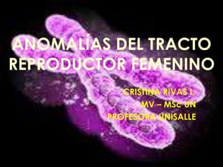 ANOMALÍAS DEL TRACTO
REPRODUCTOR FEMENINO
            CRISTINA RIVAS L.
                MV – MSc UN
         PROFESORA UNISALLE
 