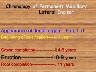 Chronology of Permanent Maxillary
Lateral Incisor
Appearance of dental organ  5 m. I. U.
Beginning of calcification----- 1 year
Crown completion--------------Crown completion-------------- 4-5 years4-5 years
Eruption -----------------Eruption ----------------- 8-98-9 yearsyears
Root completion----------------Root completion---------------- 11 years11 years
 