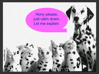 Hony please,
just calm down.
Let me explain.
 