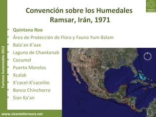 Convención sobre los Humedales
                                          Ramsar, Irán, 1971
                           •   Quintana Roo
                           •   Área de Protección de Flora y Fauna Yum Balam
                           •   Bala’an K’aax
Turismo Sustentable 2012




                           •   Laguna de Chankanab
                           •   Cozumel
                           •   Puerto Morelos
                           •   Xcalak
                           •   X’cacel-X’cacelito
                           •   Banco Chinchorro
                           •   Sian Ka’an


     www.vicenteferreyra.net
 