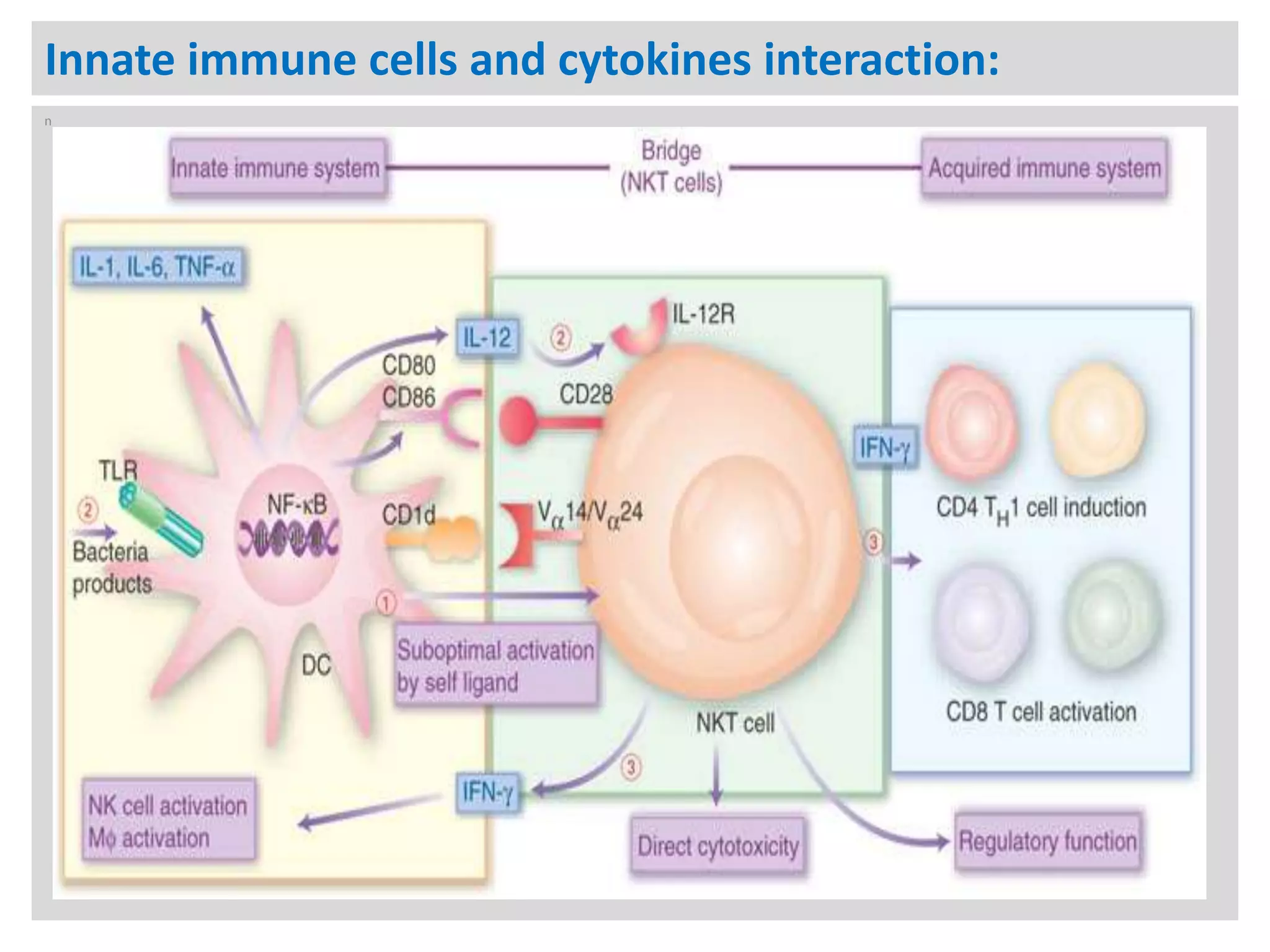 2 antigens, immunogens, epitopes, and haptens PPT