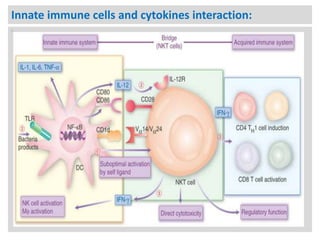 Innate immune cells and cytokines interaction:
n

 