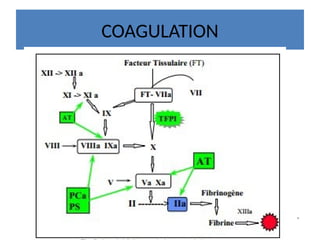 COAGULATION
 