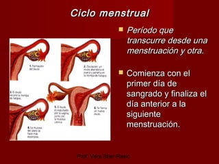 Prof. Vera Stier-Rasic
Ciclo menstrualCiclo menstrual
 Período quePeríodo que
transcurre desde unatranscurre desde una
me...