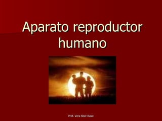 Aparato reproductor humano 