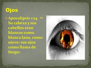  Apocalipsis 1:14 14
Su cabeza y sus
cabellos eran
blancos como
blanca lana, como
nieve; sus ojos
como llama de
fuego;
 