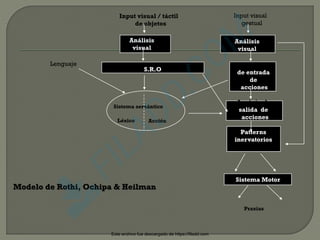 clase de neuropsicologia catedra las Apraxias | PDF
