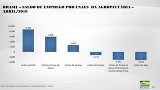 CADASTRO GERAL DE EMPREGADOS E DESEMPREGADOS – CAGED
BRASIL – SALDO DE EMPREGO POR CNAES DA AGROPECUÁRIA –
ABRIL/2019
11
 