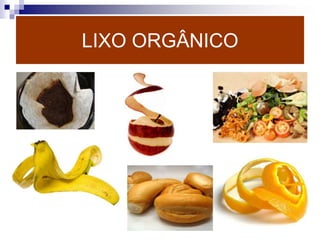 LIXO ORGÂNICO
 