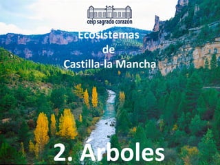 Ecosistemas
de
Castilla-la Mancha
2. Árboles
 
