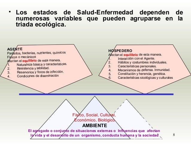 Que Es La Triada Ecologica Pdf