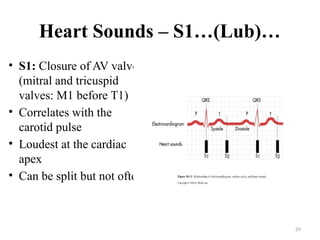 29
Heart Sounds – S1…(Lub)…
• S1: Closure of AV valves
(mitral and tricuspid
valves: M1 before T1)
• Correlates with the
carotid pulse
• Loudest at the cardiac
apex
• Can be split but not often
 