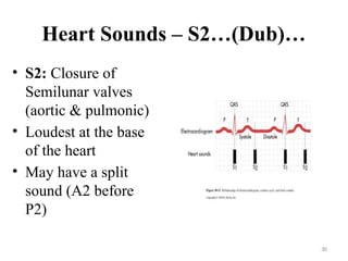 30
Heart Sounds – S2…(Dub)…
• S2: Closure of
Semilunar valves
(aortic & pulmonic)
• Loudest at the base
of the heart
• May have a split
sound (A2 before
P2)
 