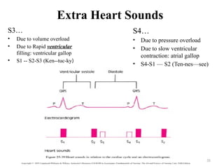35
Extra Heart Sounds
S3…
• Due to volume overload
• Due to Rapid ventricular
filling: ventricular gallop
• S1 -- S2-S3 (Ken--tuc-ky)
S4…
• Due to pressure overload
• Due to slow ventricular
contraction: atrial gallop
• S4-S1 — S2 (Ten-nes—see)
 