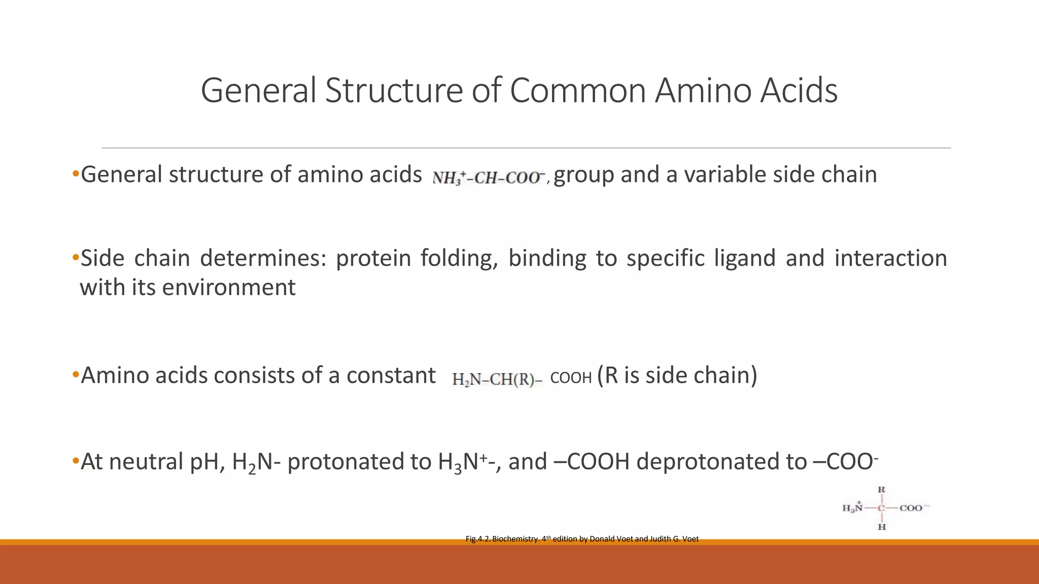 Structures of Amino Acids | PPTX