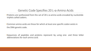 Structures of Amino Acids | PPTX