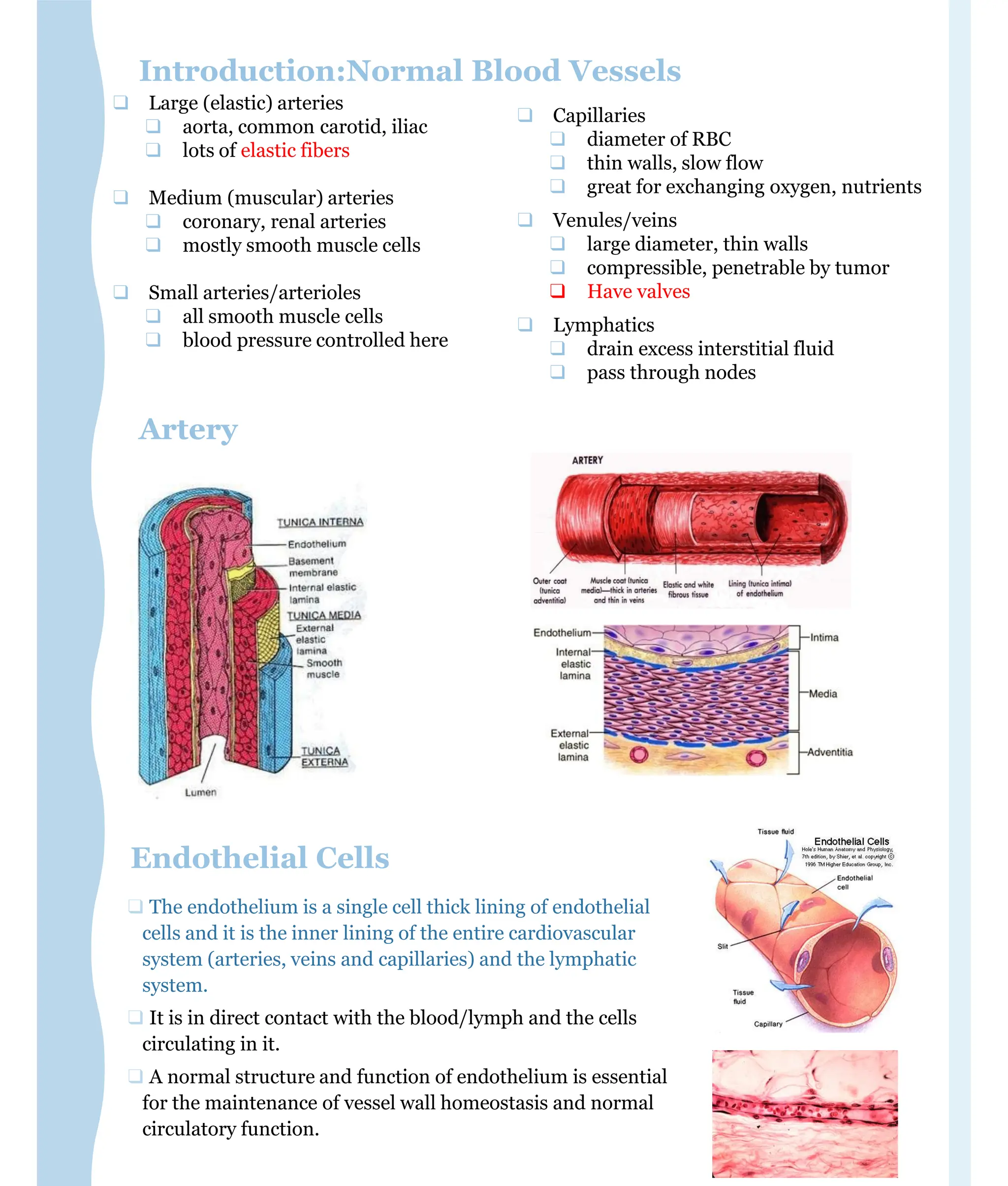 2- ATHEROSCLEROSIS and its pathophysiology | PDF